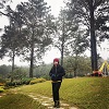 Lan Trần